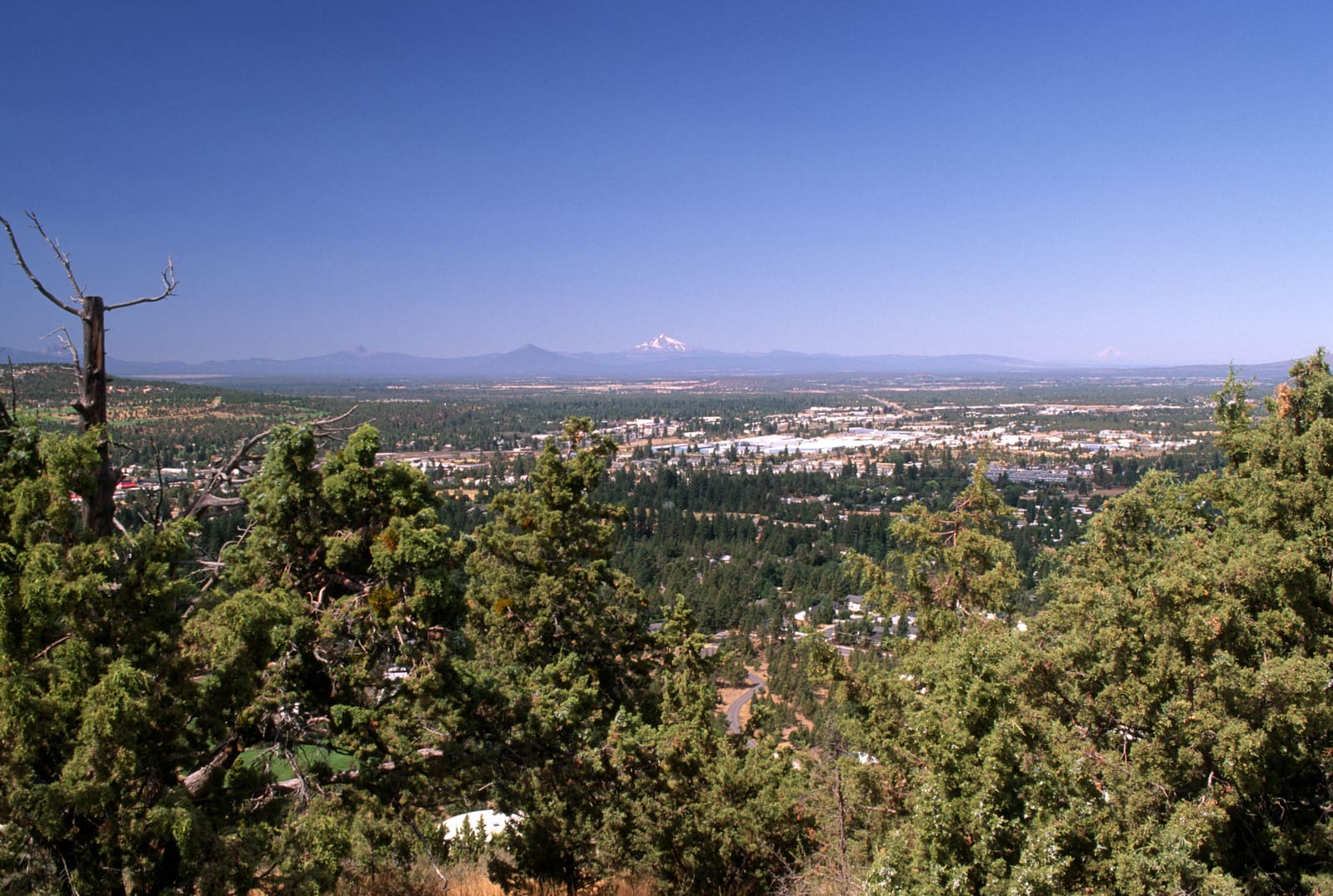 View over Bend from Pilot Butte, juniper in the foreground and the Cascade peaks on the horizon