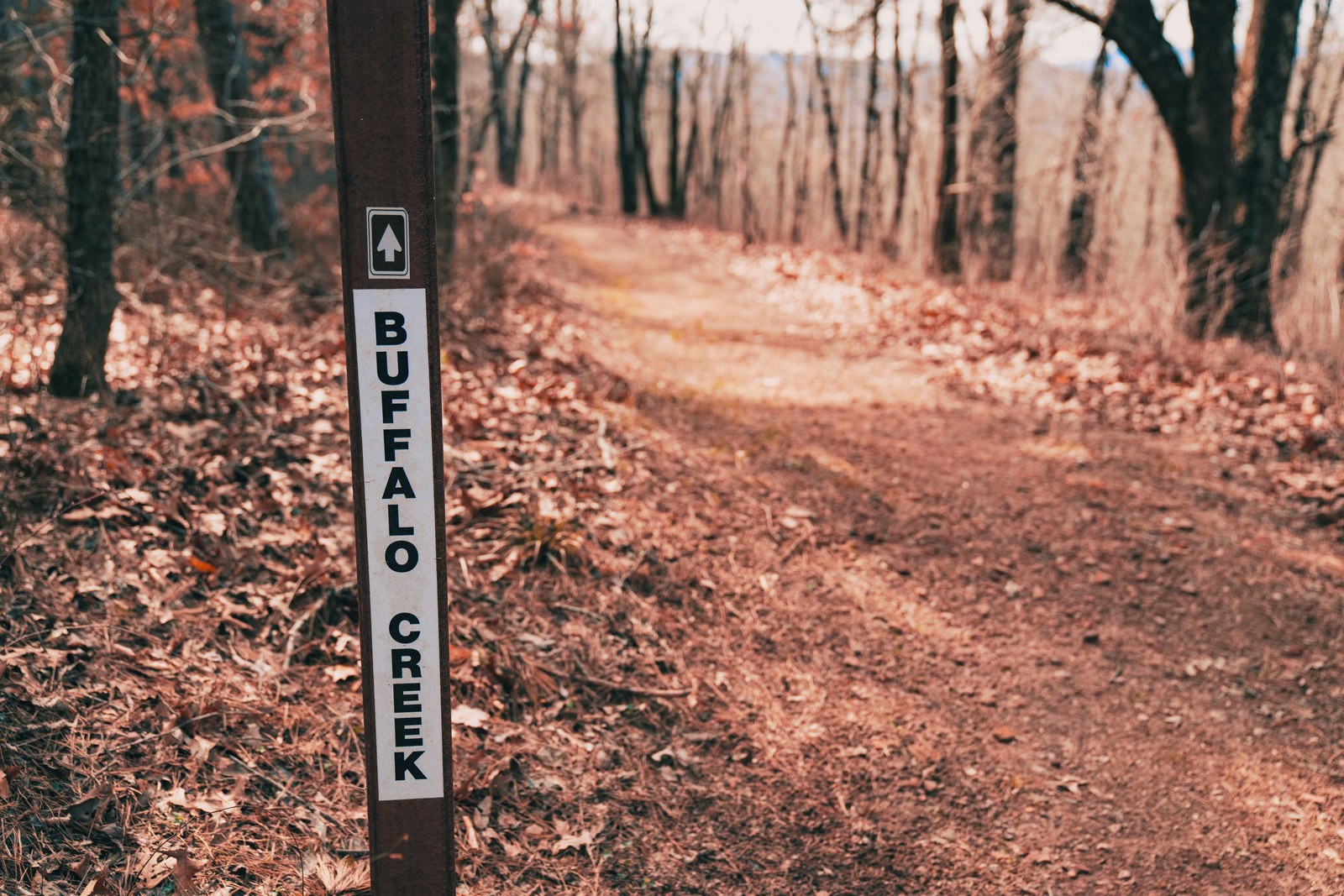 Singletrack trail and Buffalo Creek trail sign through Ozark National Forest hardwoods on the Upper Buffalo Mountain Biking Trail System, Arkansas