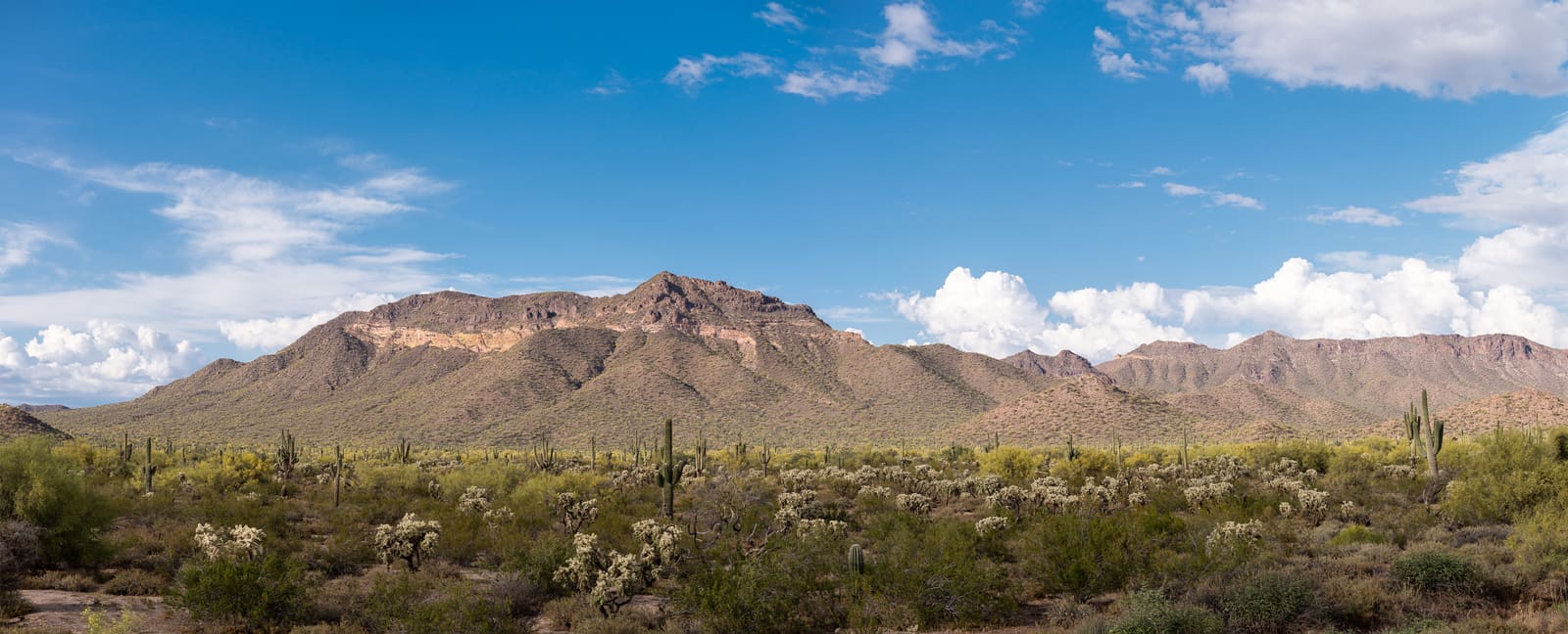 View of Usery Mountain Regional Park from the Levee Trail, open desert with mountains in the distance