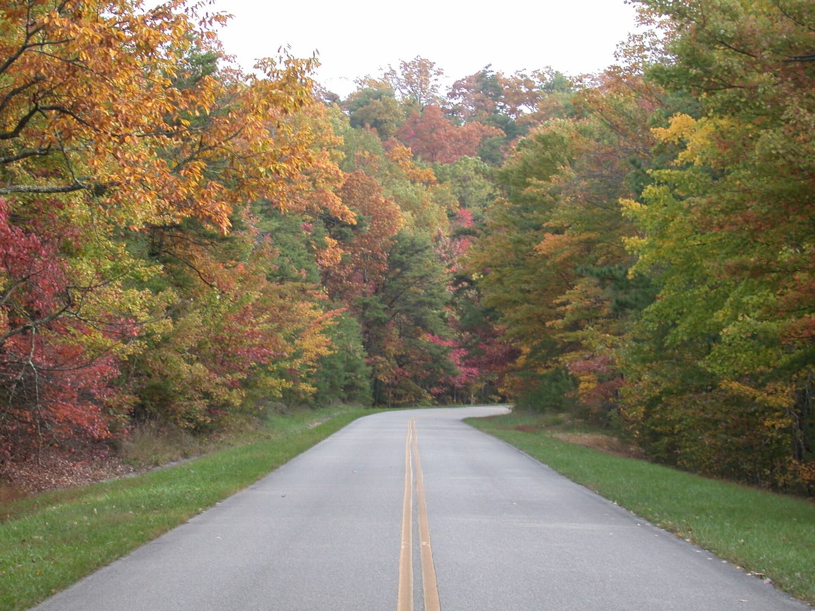 The Blue Ridge Parkway running through fall hardwood forest along a ridgeline in the southern Appalachians
