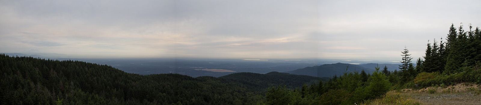 Panoramic view of forested ridges from West Tiger Mountain