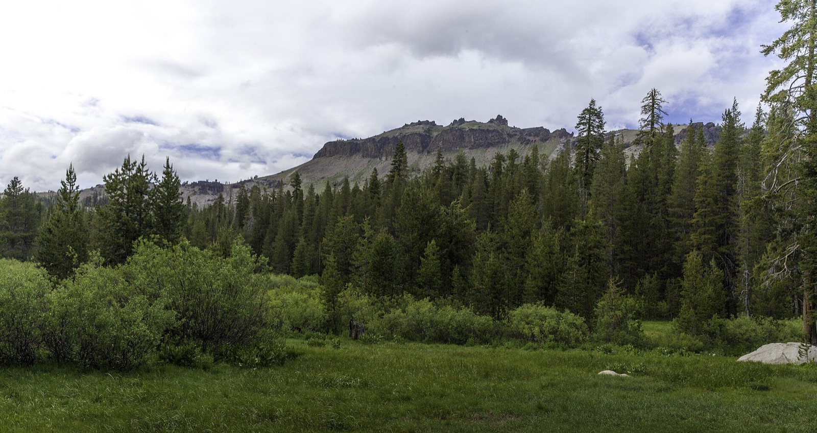 Open meadow and forested mountains in Castle Valley in Tahoe National Forest